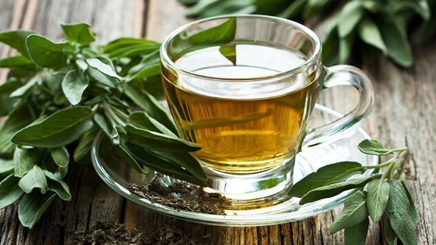 Salbei-Tee um das Immunsystem zu stärken