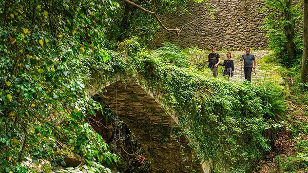 Wanderweg auf der Halbinsel Pilion