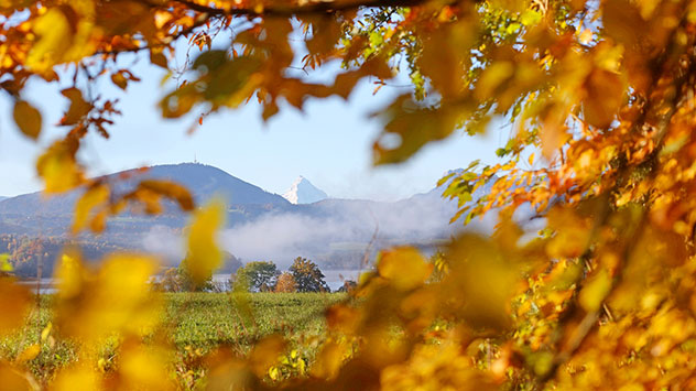 Im österreichischen Salzburger Land sorgt das Herbstlaub für bunte Landschaften.