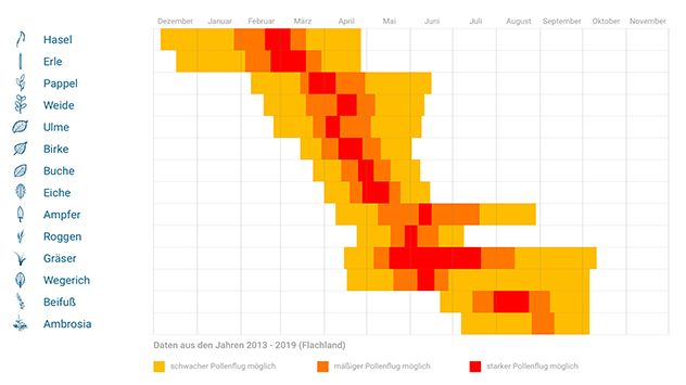 Der Pollenflugkalender zeigt die Blütezeit pollenrelevanter Pflanzen.