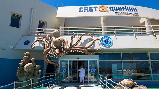 Eingang des CretAquariums mit großem Oktopus