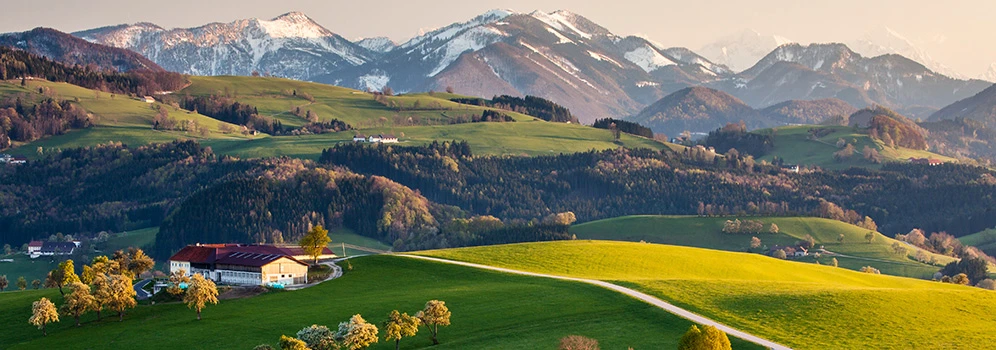 Blick über das grüne Mostviertel und die Alpen