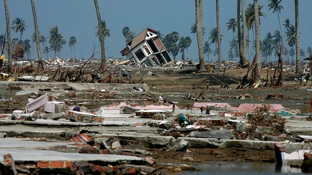 Nach gewaltigem Tsunami verwüstete Landschaft im Süden Thailands. 