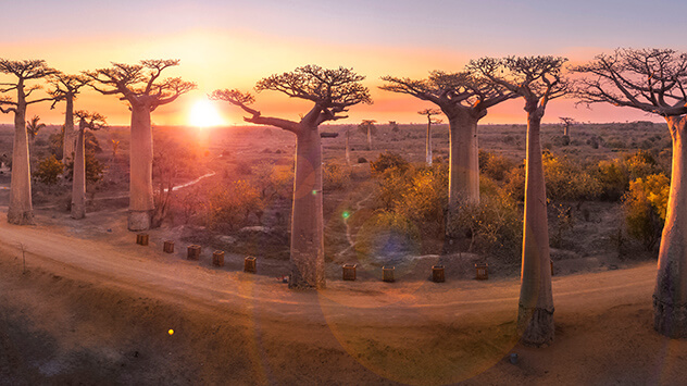 Urlaub auf Madagaskar