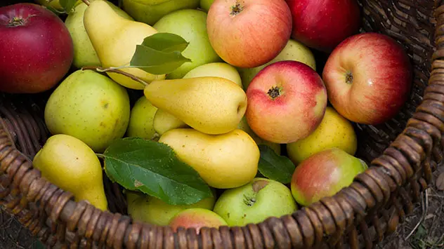 Äpfel und Birnen in einem Korb