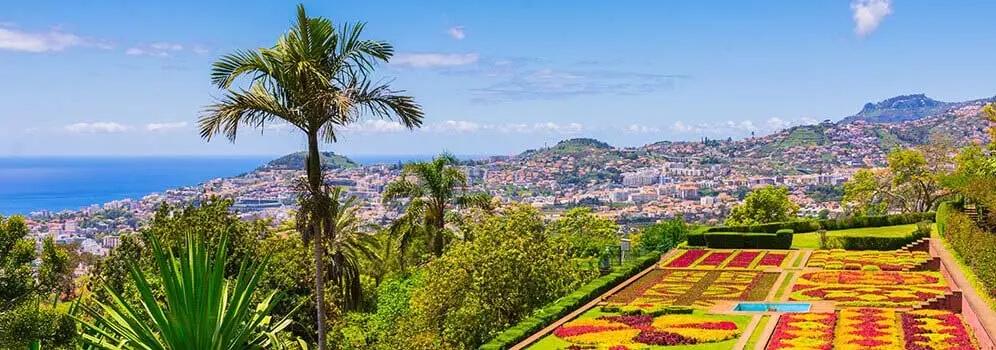 Blick auf den botanischen Garten über Funchal 