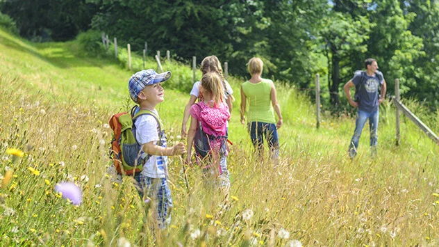 Familie wandert durch Sommerwiese