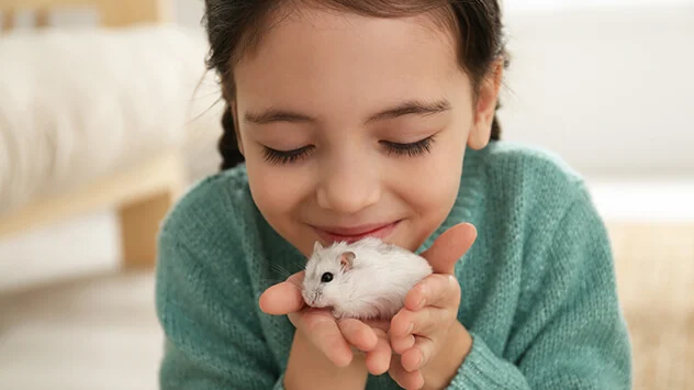 Mädchen hält weiße Maus in der Hand