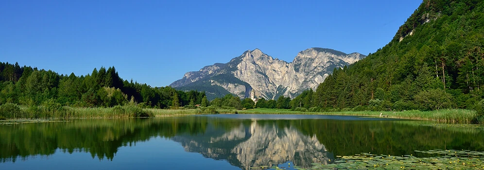 Fennberger See in Südtirols Süden mit Seerosen im Vordergrund und Spiegelung der umliegenden Wälder und Gipfeln im klaren Wasser.