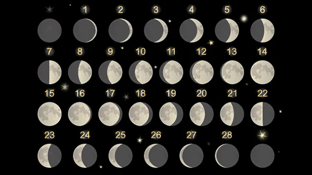 Het duurt ongeveer 29 dagen van de nieuwe maan tot de volgende. Hier zie je de bijbehorende fasen van de maan.