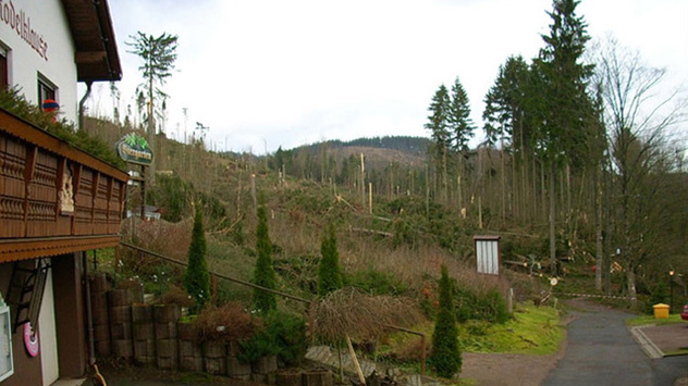 Rund 25 Hektar Wald sind alleine in den Wäldern um Ilmenau zerstört.