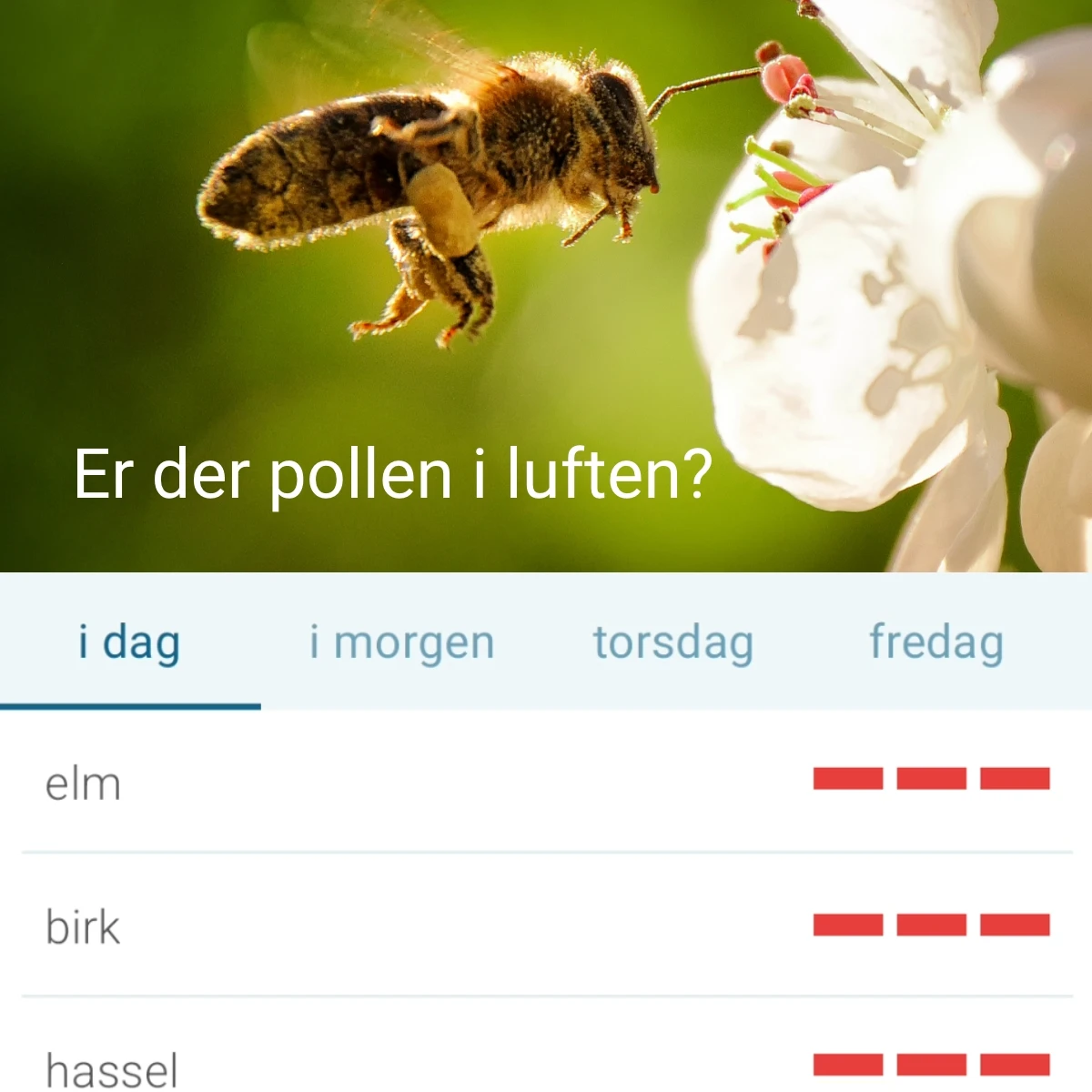 pollen kort