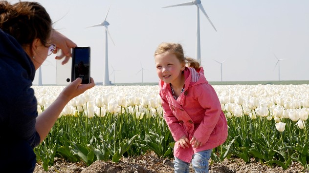 barn står model til billede foran tulipanmark