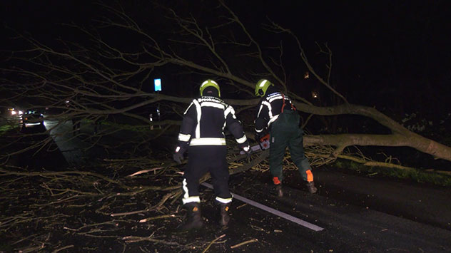 Umgestürzter Baum blockiert Straße im niedersächsischen Osteel im Landkreis Aurich.