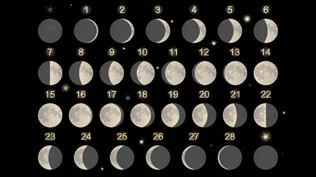 De la o lună nouă la alta trec aproximativ 29 de zile. Aici puteți vedea fazele lunare corespunzătoare.