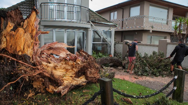 Ein umgestürzter Baum in Auckland beschädigte Häuser.