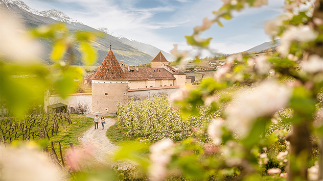 Blick auf einen Ort inmitten blühender Obstbäume