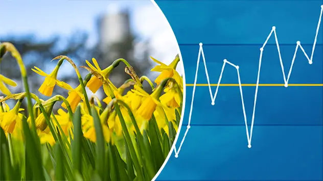 Osterglocken in einem Park - Grafik mit Temperaturkurve