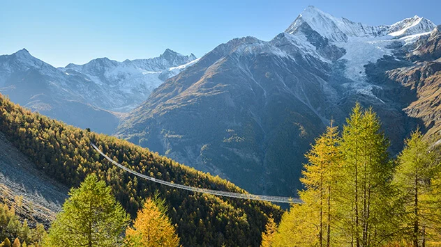 Hängebrücke über herbstlichen Baumen vor verschneiten Berggipfeln