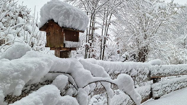 Im Landkreis Miesbach in Bayern liegen nach langanhaltendem Schneefall rund 20 Zentimeter der weißen Pracht. 
