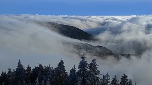 Nebelfall Schwarzwald
