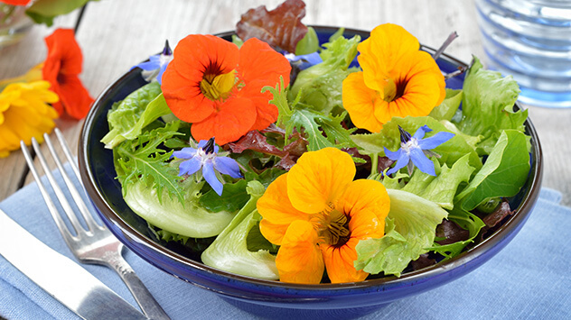 Salat mit Blumen dekoriert