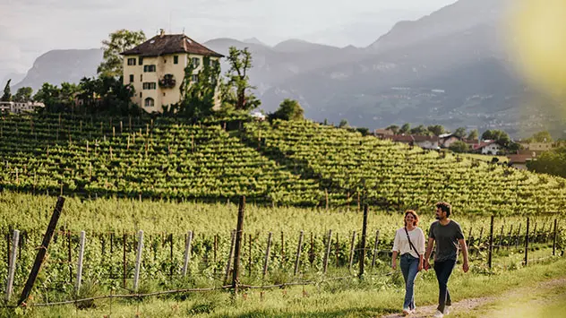Spaziergang zwischen Reben, Blick auf das Villnerschlössl