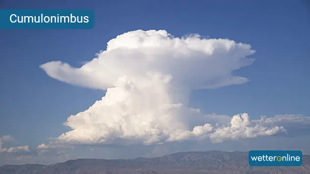 Ein sicheres Zeichen für eine Gewitterwolke ist der Amboss in der Höhe. 