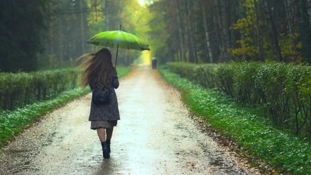 Frau mit Regenschirm geht bei Regen auf einer Allee entlang