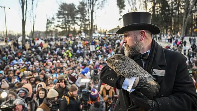 In den USA wird der Murmeltierttag jedes Jahr groß gefeiert. 