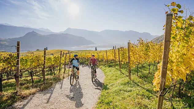 Mit dem Fahrrad unterwegs zwischen goldenen Weinbergen mit Blick auf den Kalterer See.