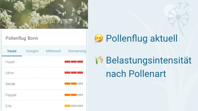 Pollenflug aktuell und Belastungsintensität nach Pollenart