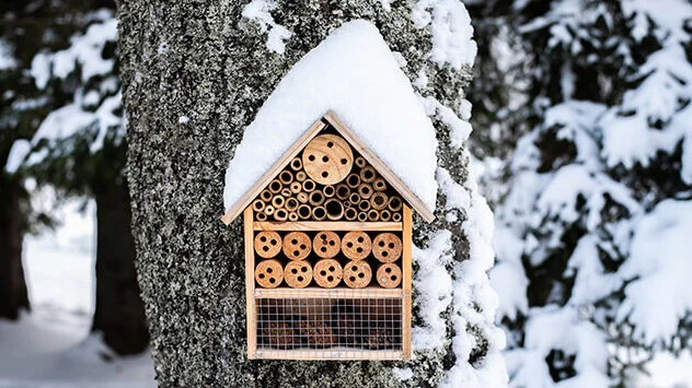 Schneebedeckte Nisthilfe für Wildbienen und Insekten