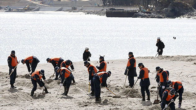 Selbst 5 Jahre danach wird noch nach den über 2000 Vermissten, wie hier am Strand bei Kamaishi, gesucht.