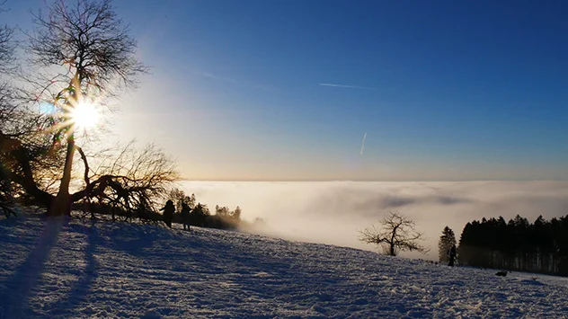 Vorgelsberg mit Sonne und Schnee, Tal im Hochnebel versunken