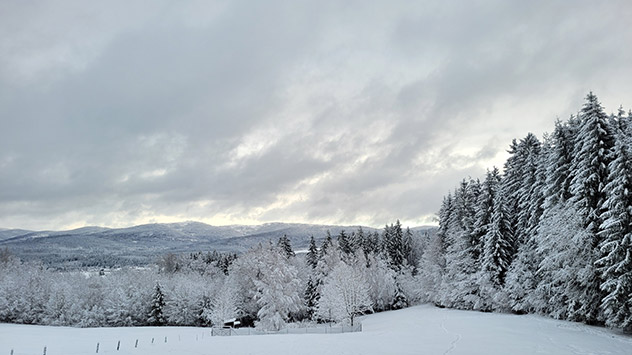 Schneelandschaft im Bayerischen Wald