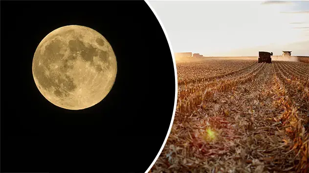Omdat in veel teeltgebieden de maïsoogst in deze tijd van het jaar begint, wordt de volle maan van september ook wel de Maïsmaan genoemd.