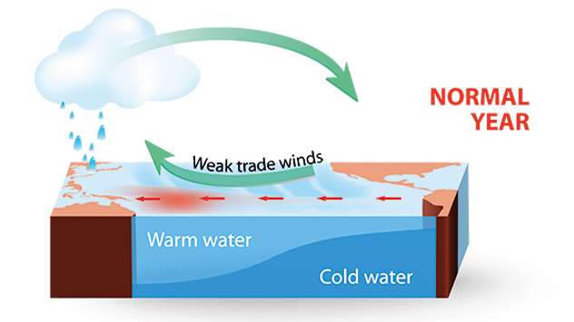 Grafik zeigt Normalzustand bei El Nino