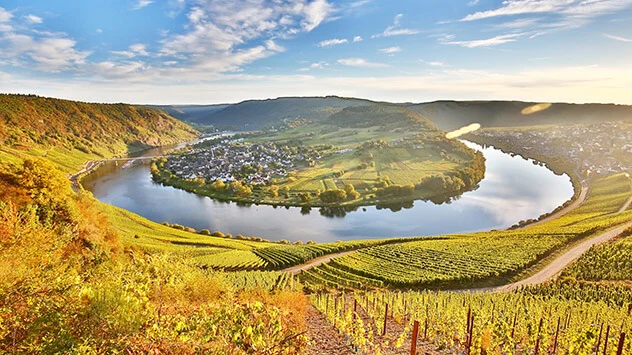 Blick über die Moselschleife und Weinberge an der Mosel