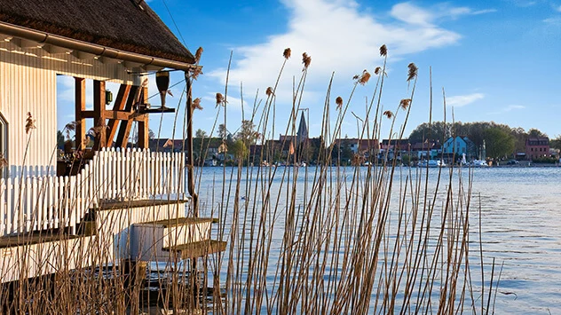 Blick über die Müritz, das Schilf und ein Haus am See