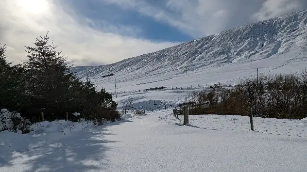 Snowy landscape