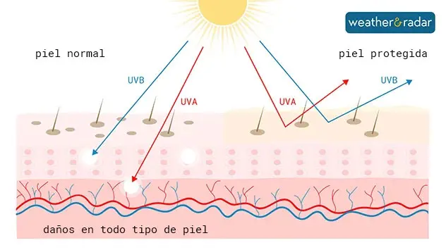 Protección solar para la piel. ¿Cómo funciona?
