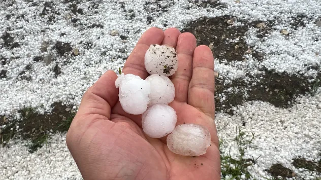 Olivengroße Hagelkörner sind zu finden