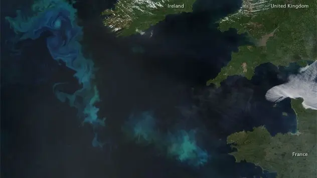 Shimmering Atlantic: Plankton bloom spotted off UK coast – Weather News