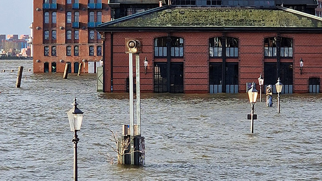 Der Dezember in Bildern