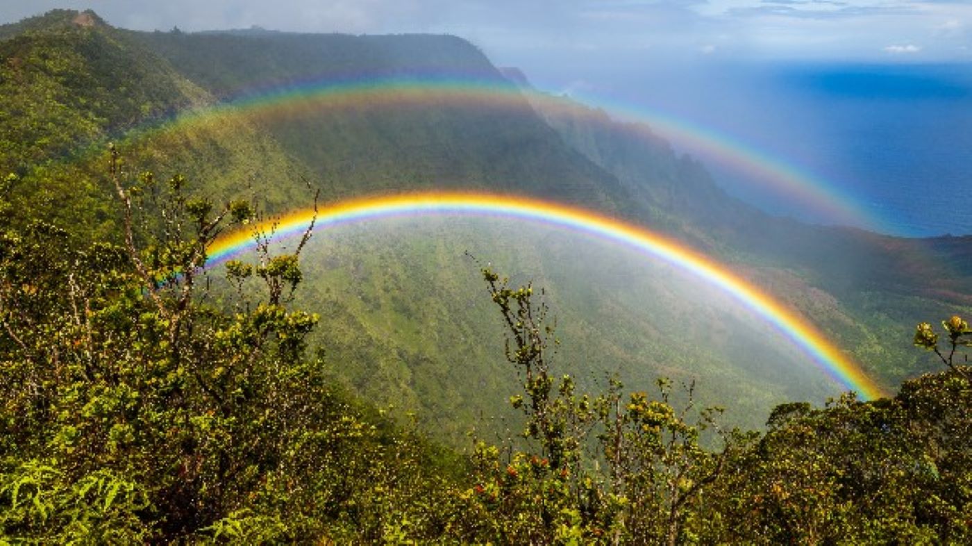 Увидеть радугу. Гавайи Радуга. Радуга Kauai. Двойная Радуга примета. Радуга на экваторе.