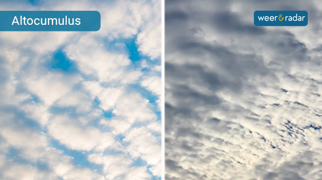 De altocumulus bevindt zich onder de cirruswolken. Deze wollige wolk bestaat uit iets grotere clusters (links), die soms in banden zijn gerangschikt.