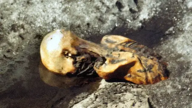This is what the glacier mummy looked like when it was found in 1991.