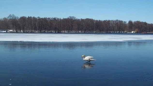 März 2013 See gefroren