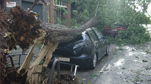 Baum liegt nach Unwetter auf zerstörtem Auto in NRW